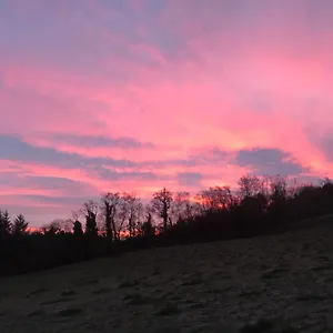  Homestay Forest View - Castlewellan, County Down United Kingdom